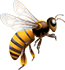 arı ilaçlama ikon